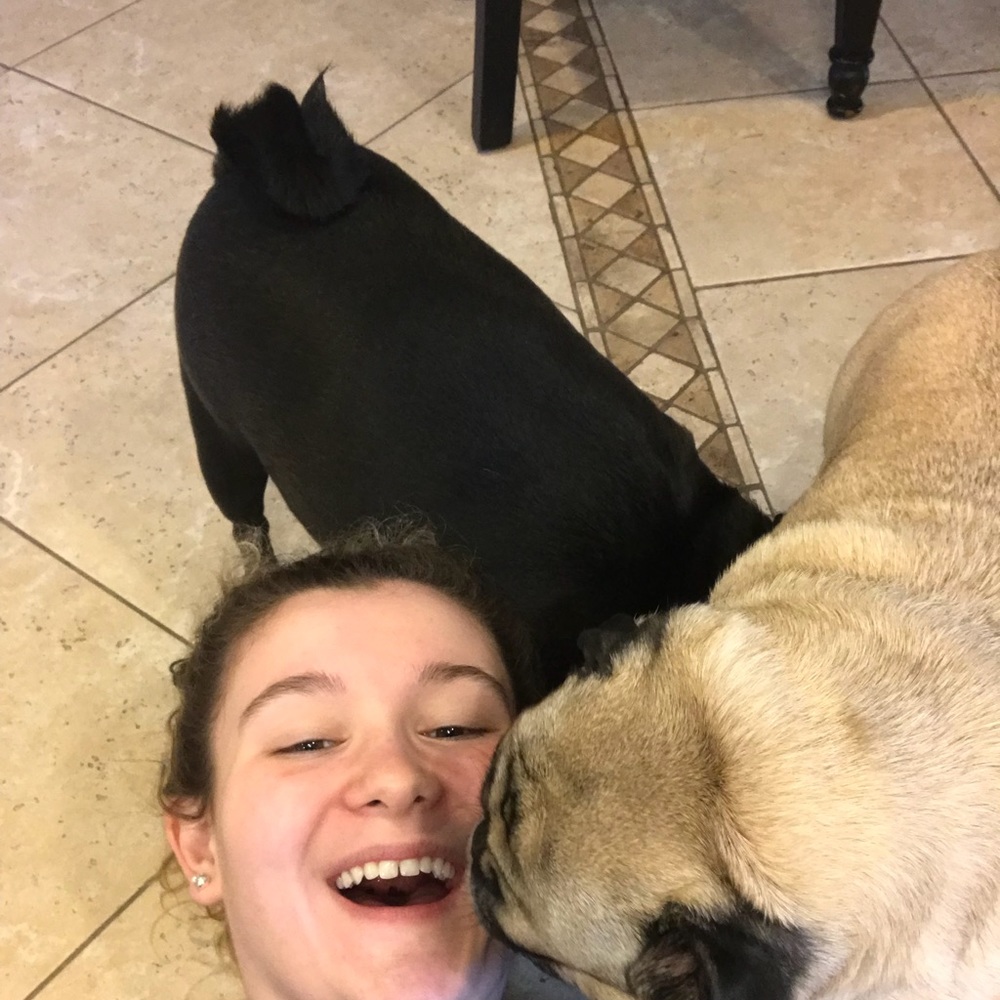 Meet your Posher, Katie